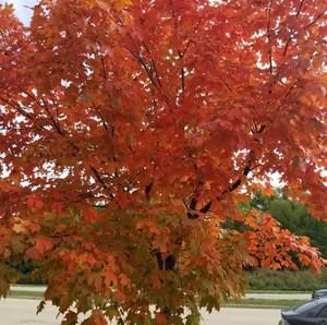 Meet your Posher, Sandra carrasco